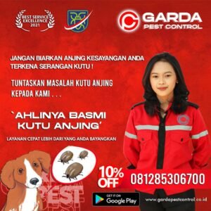 Jasa Pembasmi Kutu Anjing di Bandung
