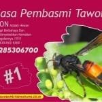 Jasa Pembasmi Tawon Arjawinangun Jasa Pembasmi Tawon di Tanggerang