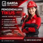 Jasa Pembasmi Tikus di Banyumas (1)