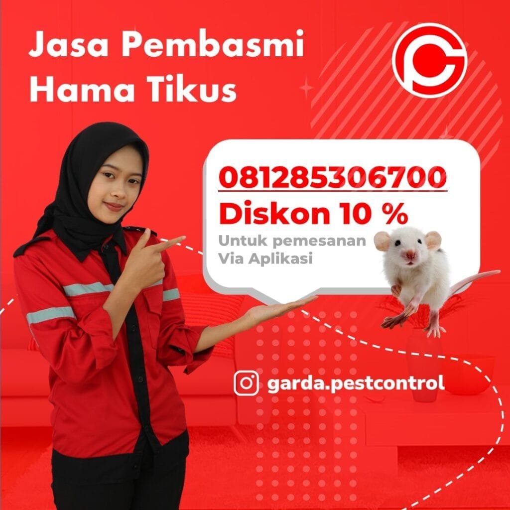 Jasa Pengusir Tikus Bandung