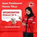 Jasa Pengusir Tikus Jogja