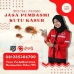 Jasa Pembasmi Kutu Kasur Sidoarjo