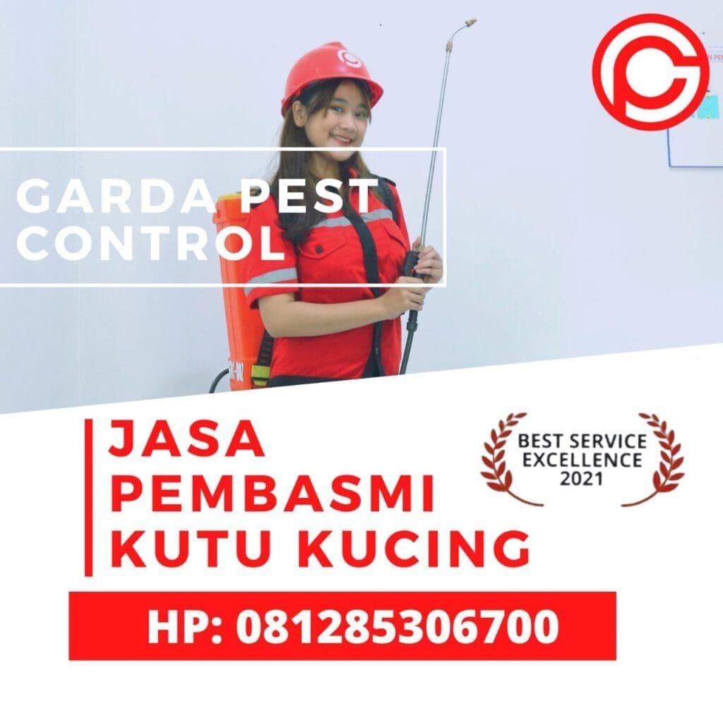 Jasa Pembasmi Kutu Kucing di Bandung