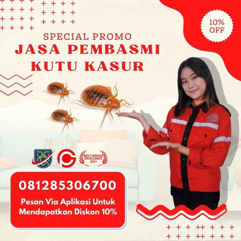 Jasa Pembasmi Kutu Kasur Kudus