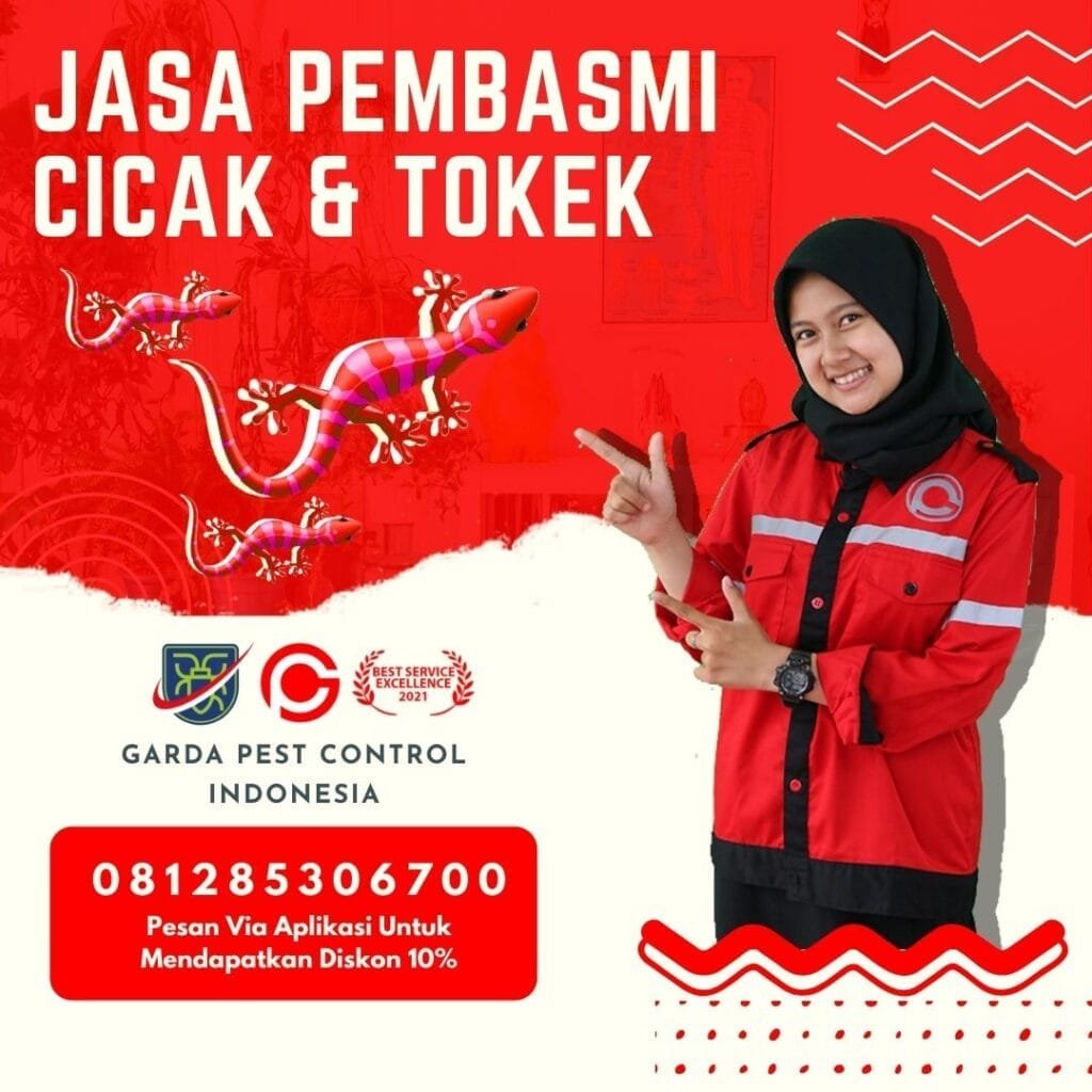 Jasa Pembasmi Tokek Bekasi