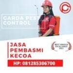 Jasa Pembasmi Kecoa di Apartemen Jogja