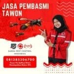Jasa Pembasmi Sarang Tawon di Tasikmalaya