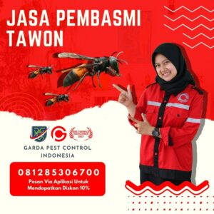 Jasa Pembasmi Tawon di Semarang