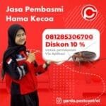 Jasa pembasmi Kecoa di Mobil Bandung