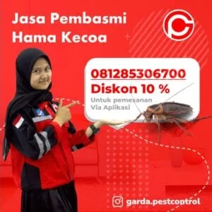 Jasa Pembasmi Kecoa  Apartemen di Cirebon