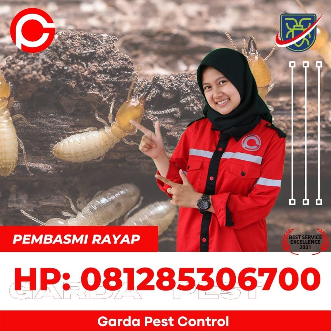 Jasa Anti Rayap Semarang Kota