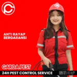 Jasa Anti Rayap Jakarta