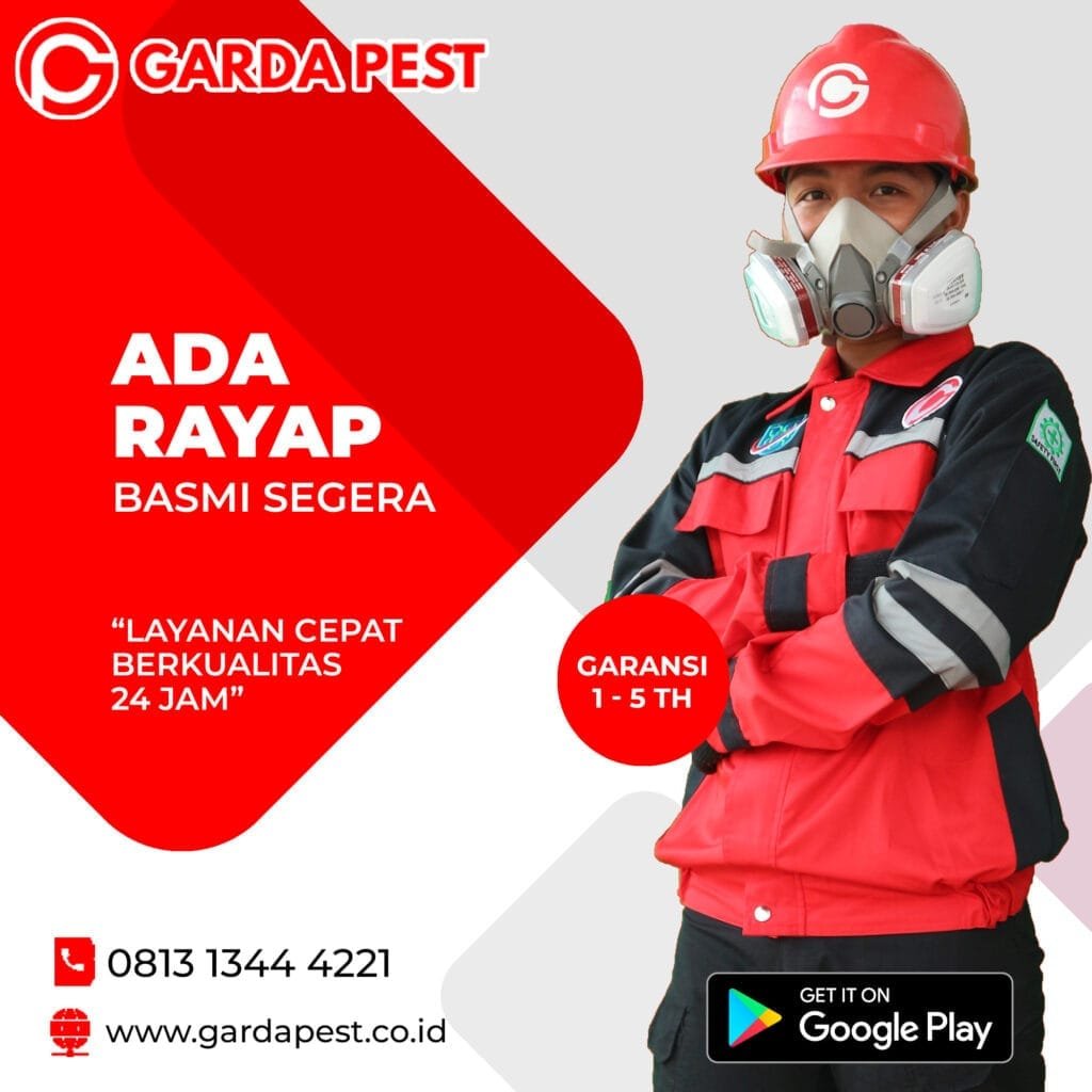 Jasa Anti Rayap Jogja