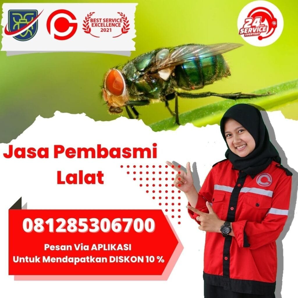 Jasa Pembasmi Lalat Magelang
