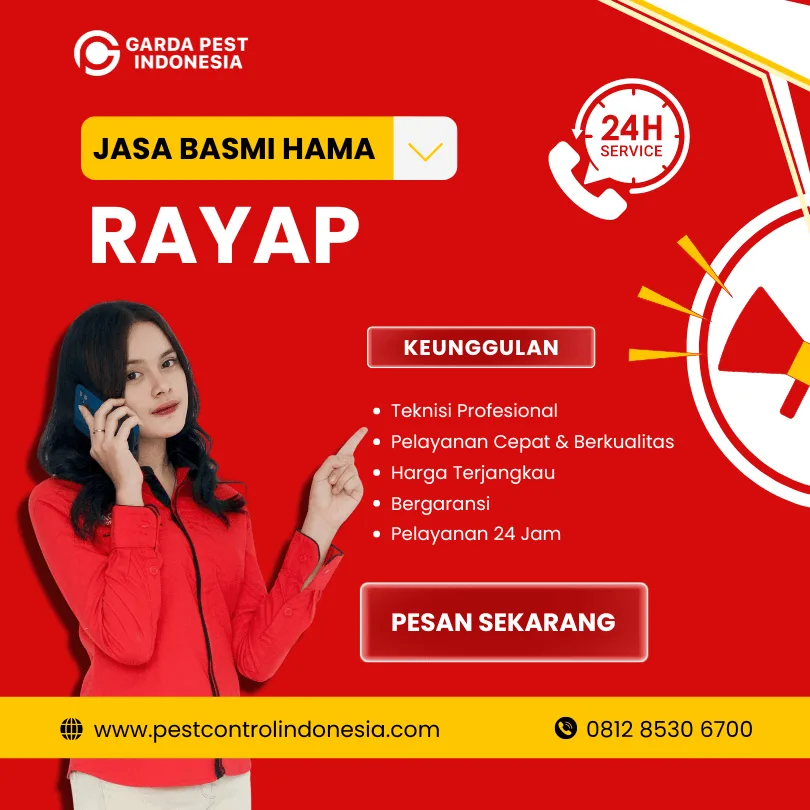 Jasa Pembasmi Rayap Depok
