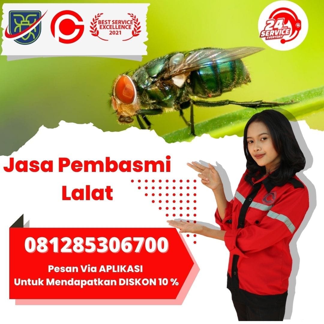 Jasa Pembasmi Lalat di Cirebon