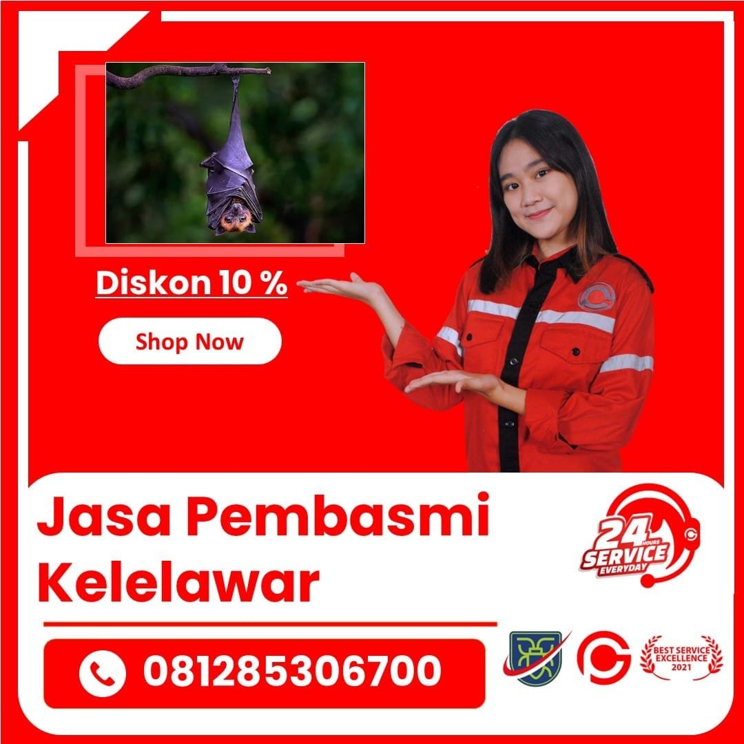 Jasa Pembasmi Kelelawar Bekasi