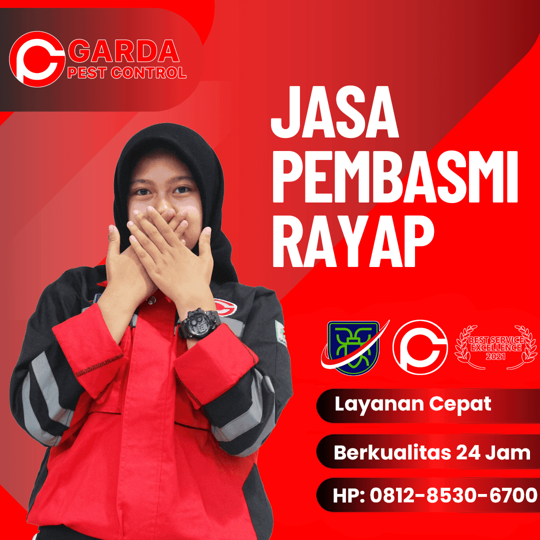 Jasa Pembasmi Rayap Wilayah Bali