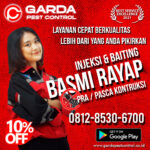Jasa Suntik Rayap di Cipadung Kulon Bandung