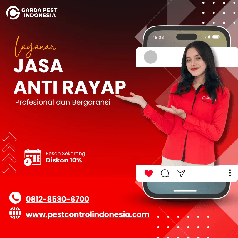 Jasa Anti Rayap di Sleman
