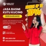 Jasa Pembasmi Kutu Kucing di Semarang Barat Jasa Basmi Kutu Kucing Jogja