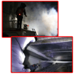 Jasa Pembasmi Tawon Malang Basmi Sampai Tuntas Jasa Pembasmi Tawon di Cimahi