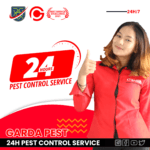 Cara Memperbaiki Mesin Fogging Swingfog Pest Control Service 24 Jam