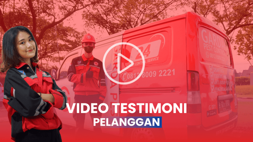 Testimoni Pelanggan