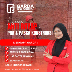 Jasa Pembasmi Rayap Surabaya | Garansi 3-5 Tahun & Terbukti Ampuh