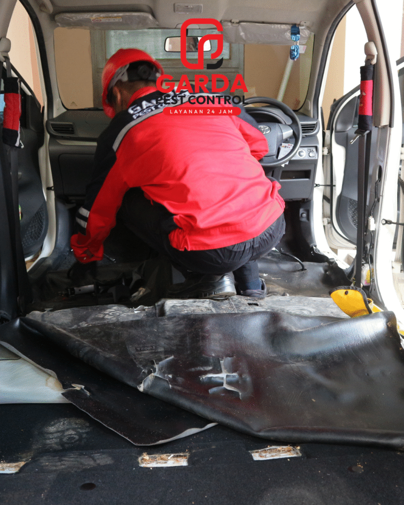 Jasa Pembasmi Semut di Mobil Jakarta Garansi 3 Bulan