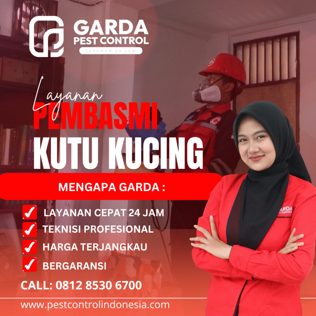 Jasa Pembasmi Kutu Kucing di Malang Terbaik No.1
