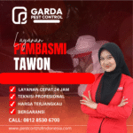 Jasa Pembasmi Tawon Solo Panggilan 24 Jam