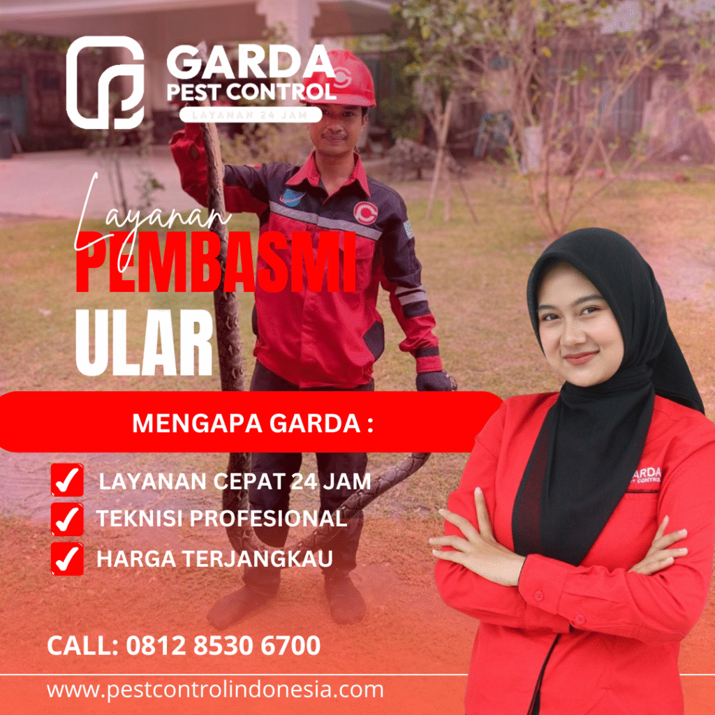 Jasa Pembasmi Hama Bogor Oleh Teknisi Profesional