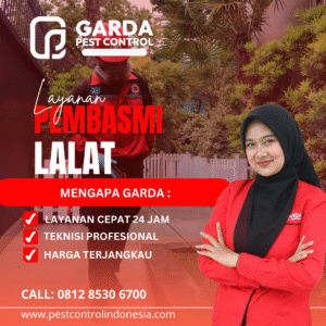 Jasa Pembasmi Lalat Terdekat Pest Control