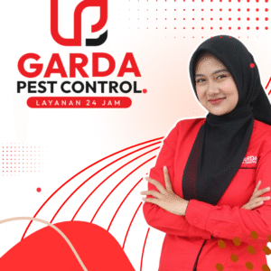 Jasa Pembasmi Cicak Terdekat Bergaransi