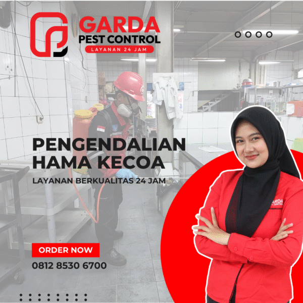 Jasa Pembasmi Kecoa Surabaya | Tuntas, Cepat & Efektif