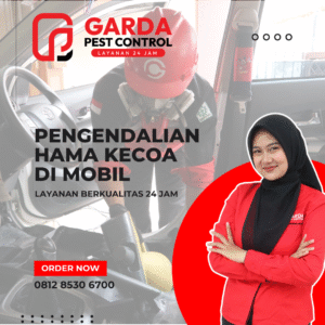 Jasa Pembasmi Kecoa di Mobil Terdekat