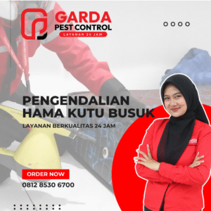 Jasa Pembasmi Kutu Kasur Surabaya | Profesional & Bergaransi