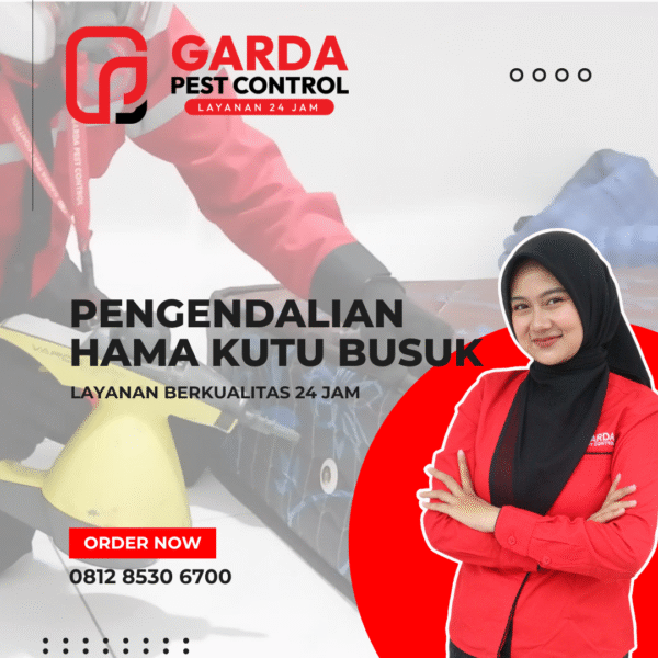Jasa Pembasmi Kutu Kasur Surabaya | Profesional & Bergaransi