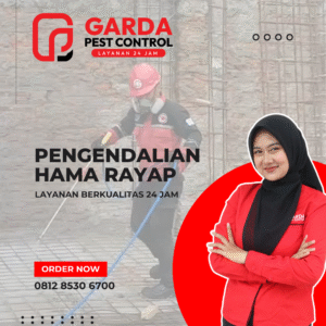 Promo Jasa Anti Rayap di Tangerang Termite Control Terbaik & Terpercaya
