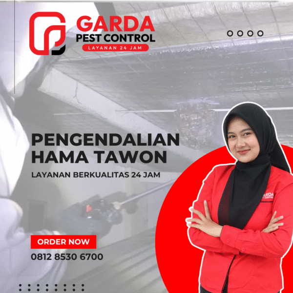 Jasa Pembasmi Tawon Surabaya Profesional | Bergaransi & Aman