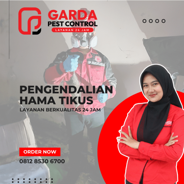 Jasa Pembasmi Tikus Surabaya | Tuntas Hingga ke Sarangnya
