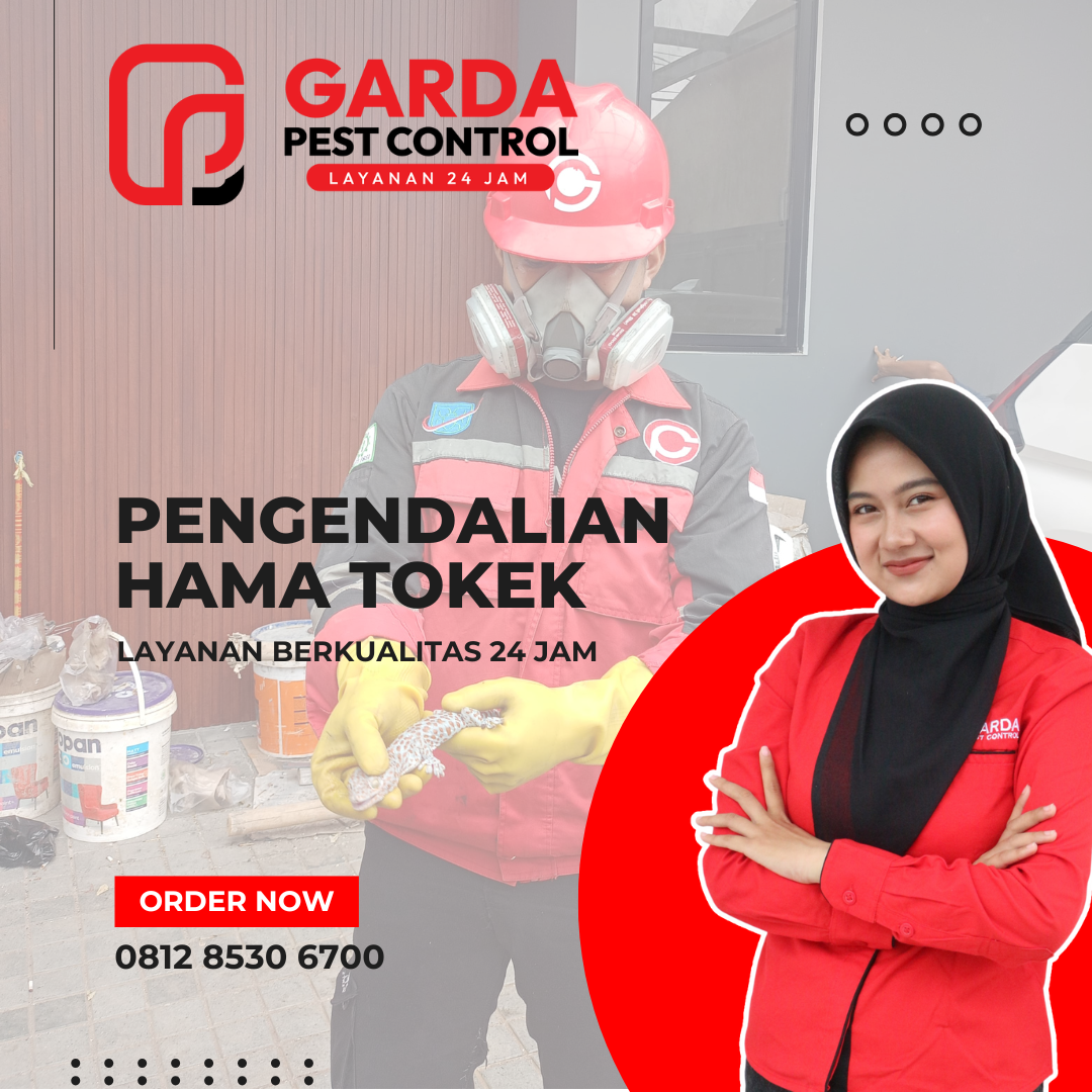 Jasa Pembasmi Tokek dan Cicak Terdekat
