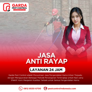 Jasa Anti Rayap Sistem Injeksi & Pipanisasi Lindungi Aset Anda Sekarang
