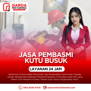 Jasa Pembasmi Kutu Kasur (Bed Bugs) Ampuh Tanpa Jemur Kasur