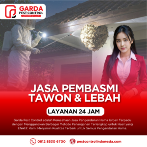 Jasa Evakuasi Sarang Tawon & Lebah Profesional - Penanganan Darurat 24 Jam