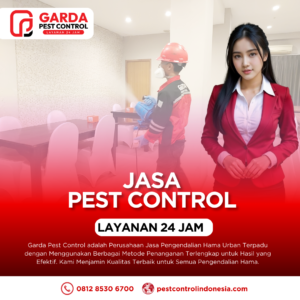 Jasa Pest Control Bulanan Untuk Cafe dan Rumah Makan Hama Tuntas Bersih