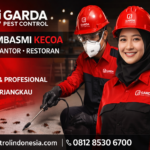 Jasa Pembasmi Kecoa di Murah Berkualitas