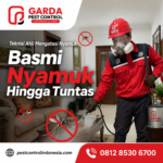 Jasa Fogging Nyamuk Terbaik Tangerang: Lindungi Keluarga Anda dari Ancaman DBD