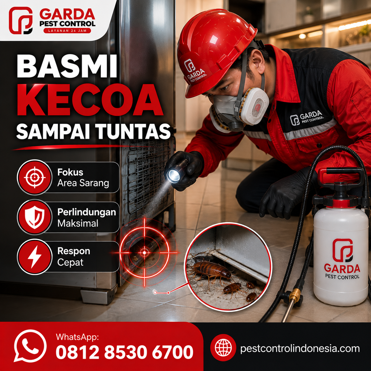 Harga Jasa Pembasmi Kecoa Jakarta Selatan Terlengkap